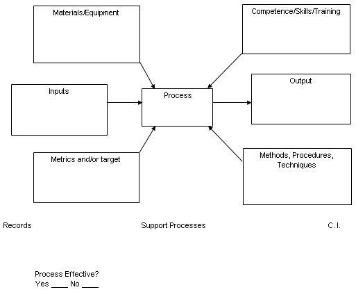 blank turtle diagram